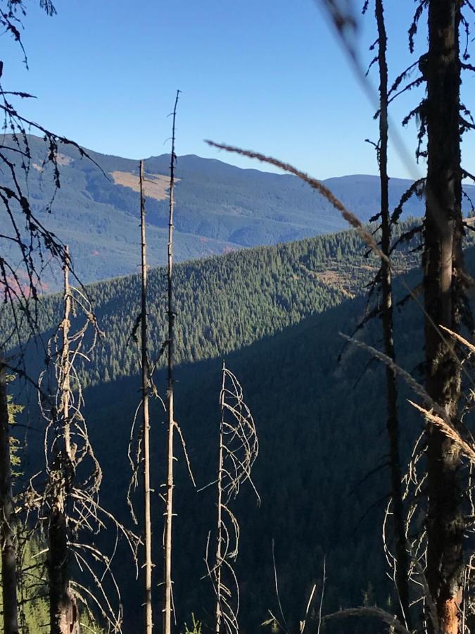 Вілла Софі Verchovyna Exteriör bild